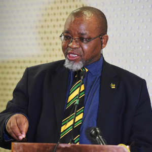'Family friend' offered to pay for home security system, Mantashe says