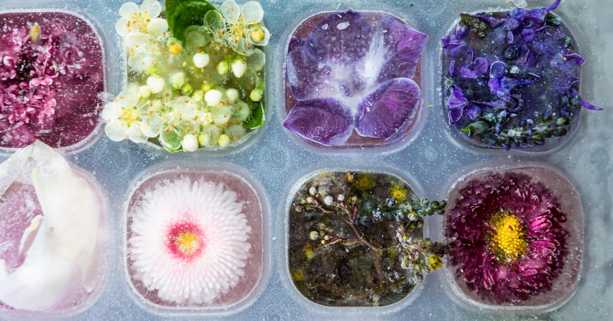 Edible Flower Ice Cubes Recipe- Vibrant and Colorful - A Busy Kitchen