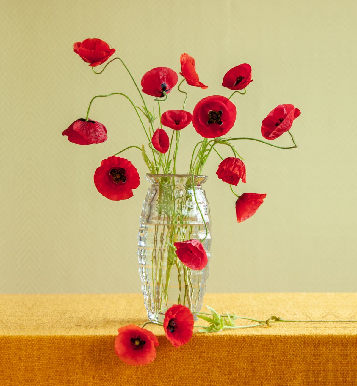 Red flowers on a glass vase