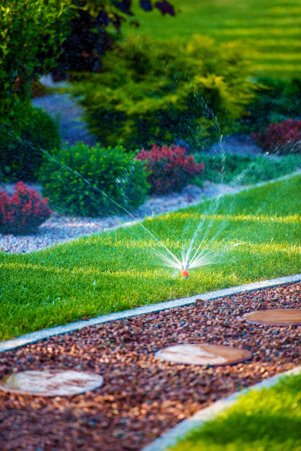 Backyard Garden Automatic Watering System. Beautiful Newly Designed Backyard Garden.