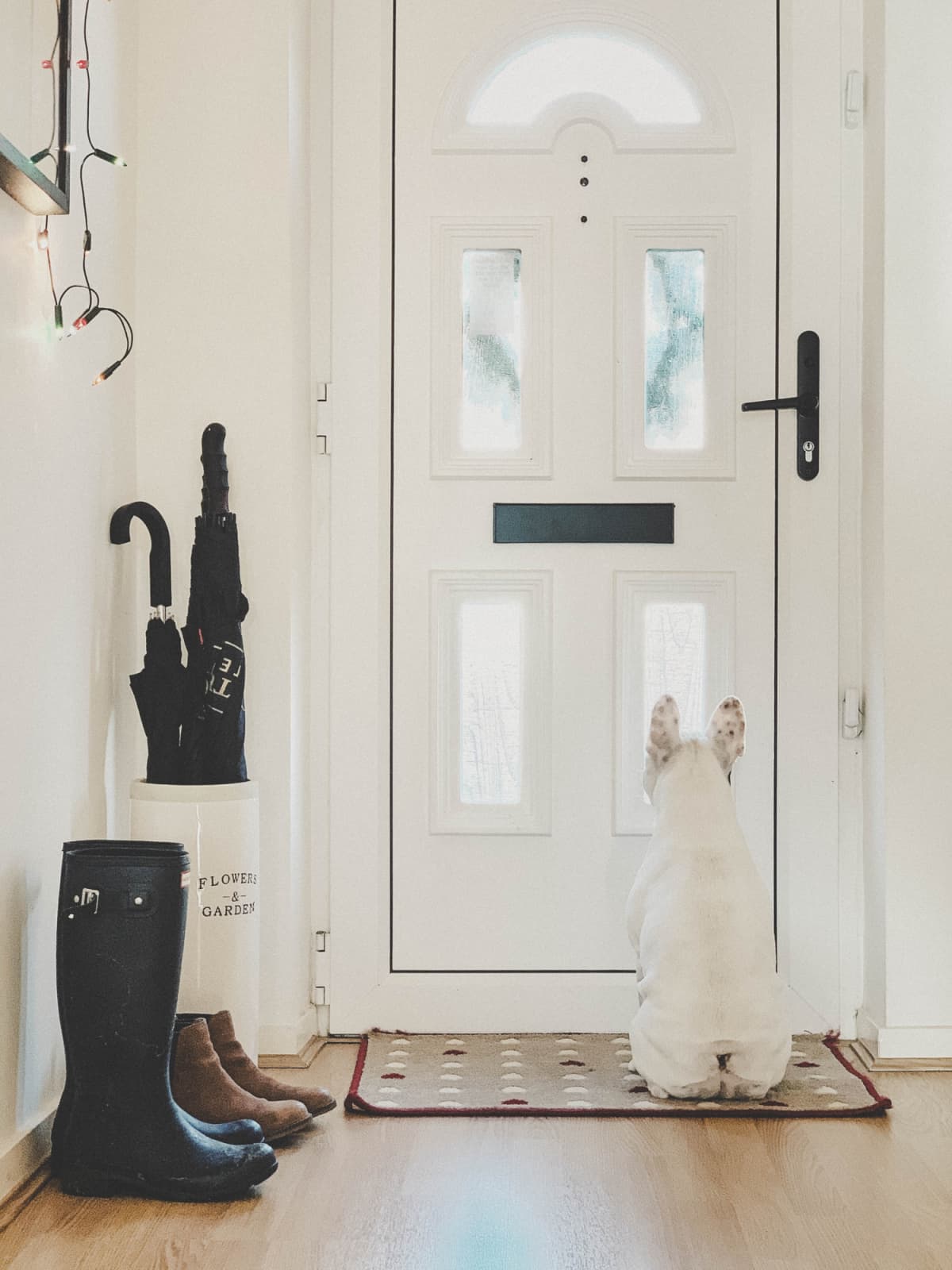 Entryway in white colors with umbrella stand