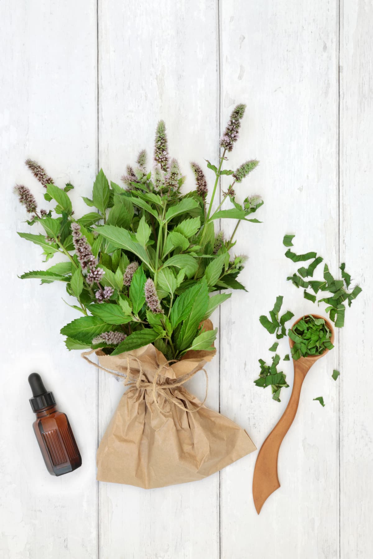 Peppermint herb leaves and essential oil bottle on rustic wood
