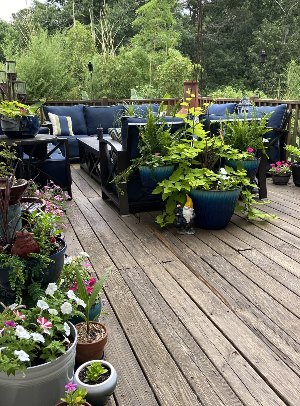A beautiful outdoor deck full of potted plants in bloom and blue patio furniture