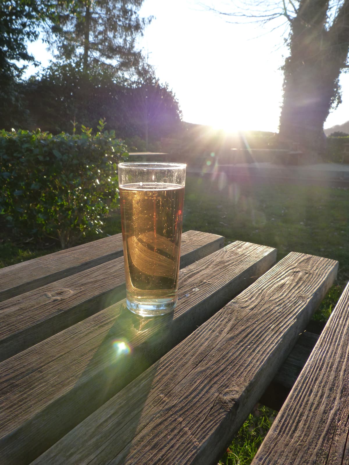 A pint of beer on a garden table in the sunshine.