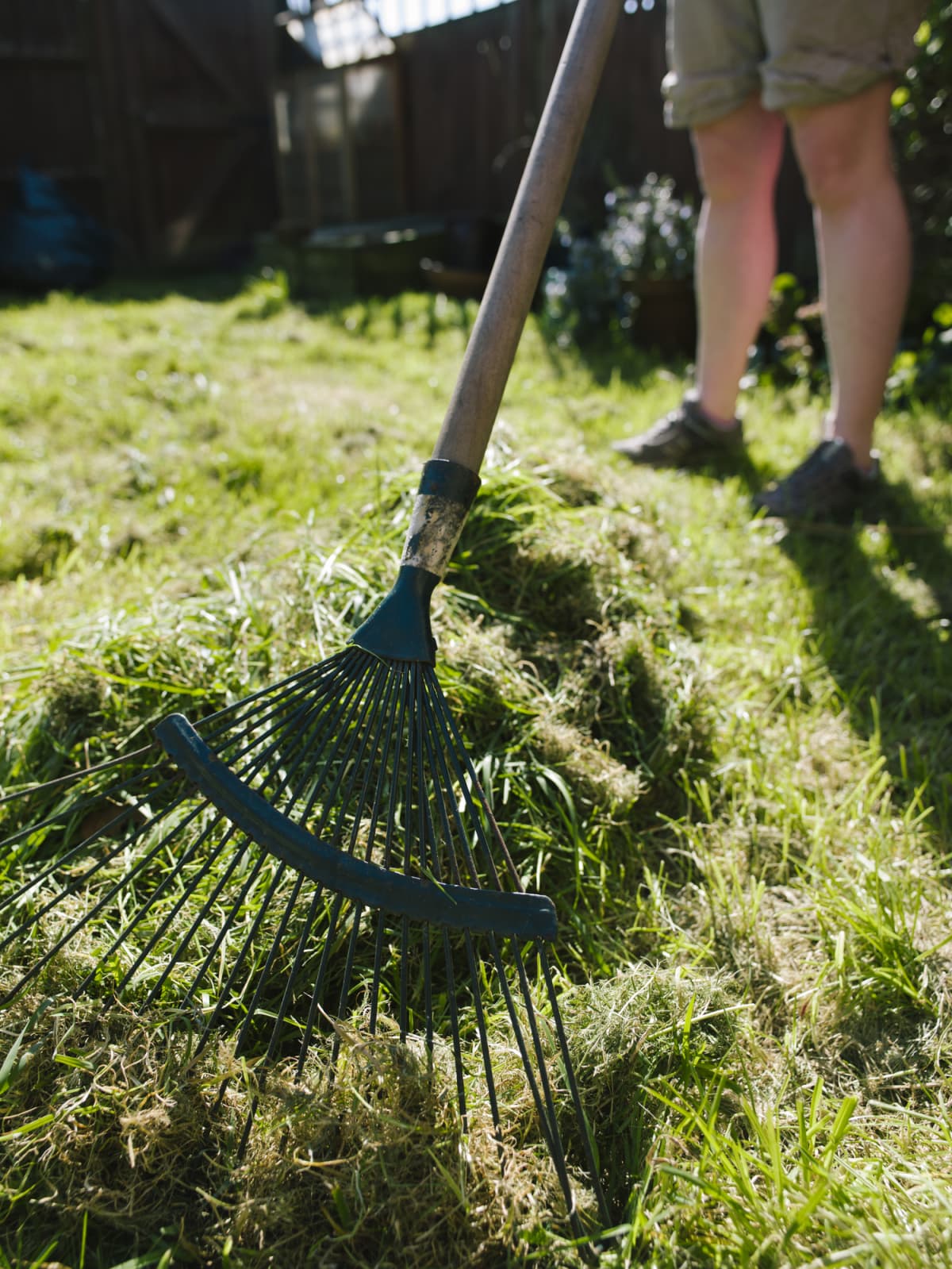 Woman raking grass at home