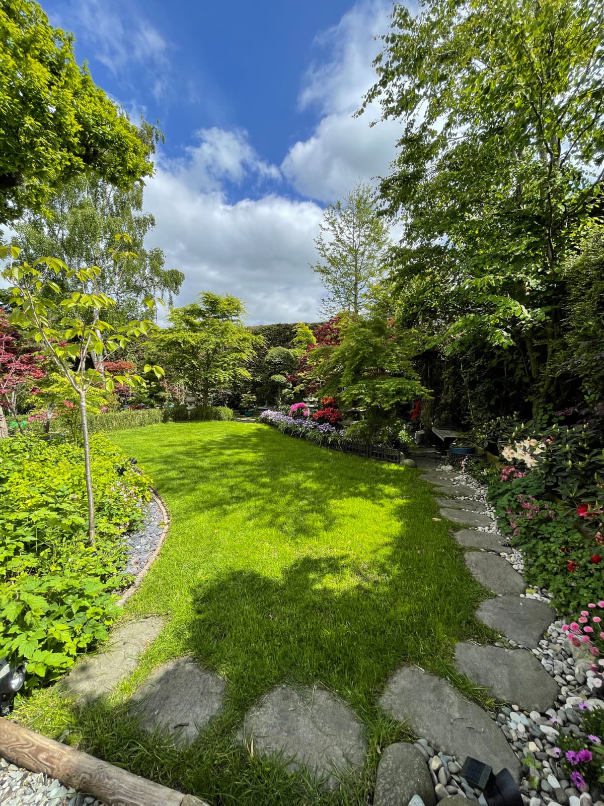 Japanese style garden with potted flowering azalea shrubs besides a stepping stone garden path
