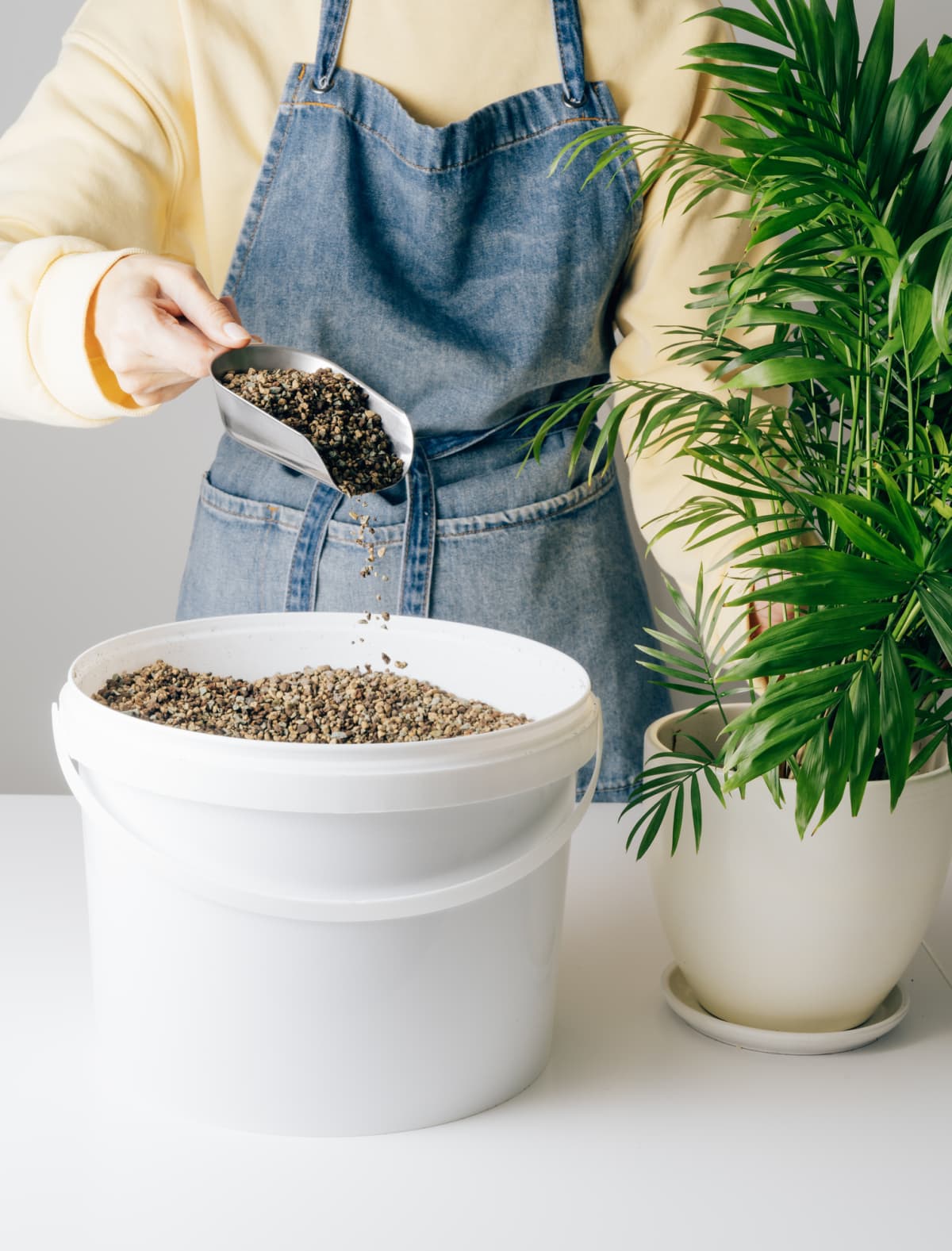 A woman applying fertilizer to an indoor houseplant