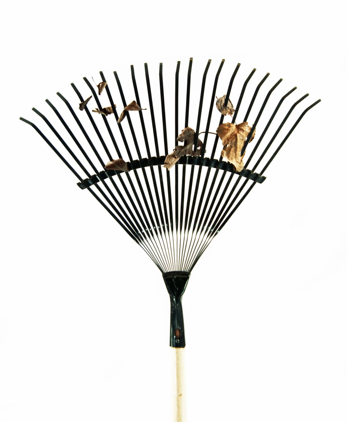 A garden rake with dried leaves