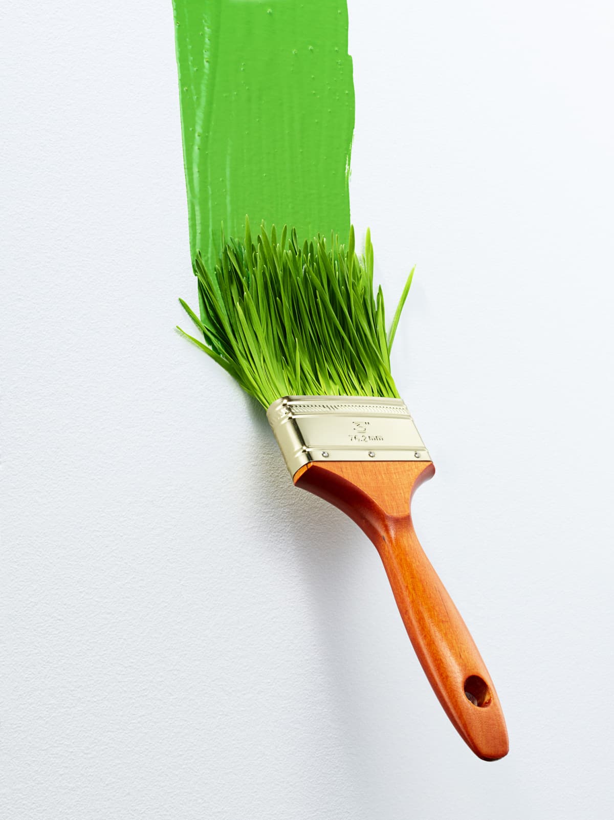 Painting a strip of green paint on a wall with a paintbrush