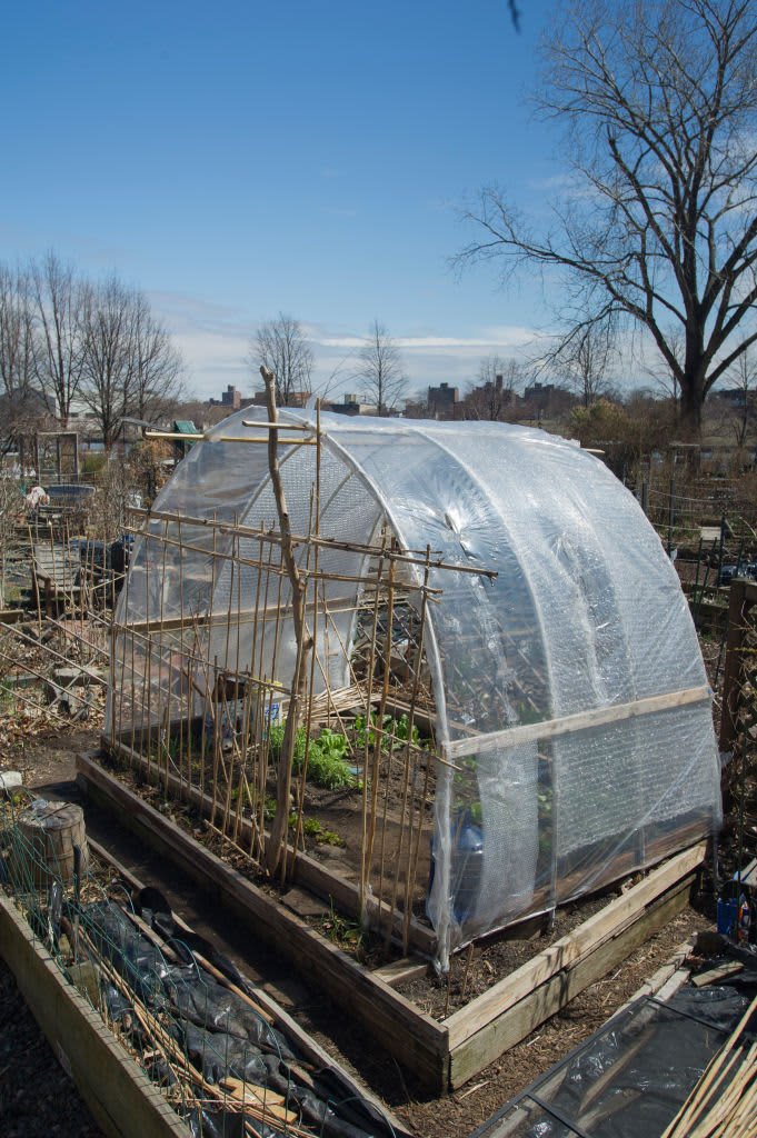 An outdoor greenhouse made of bubble wrap