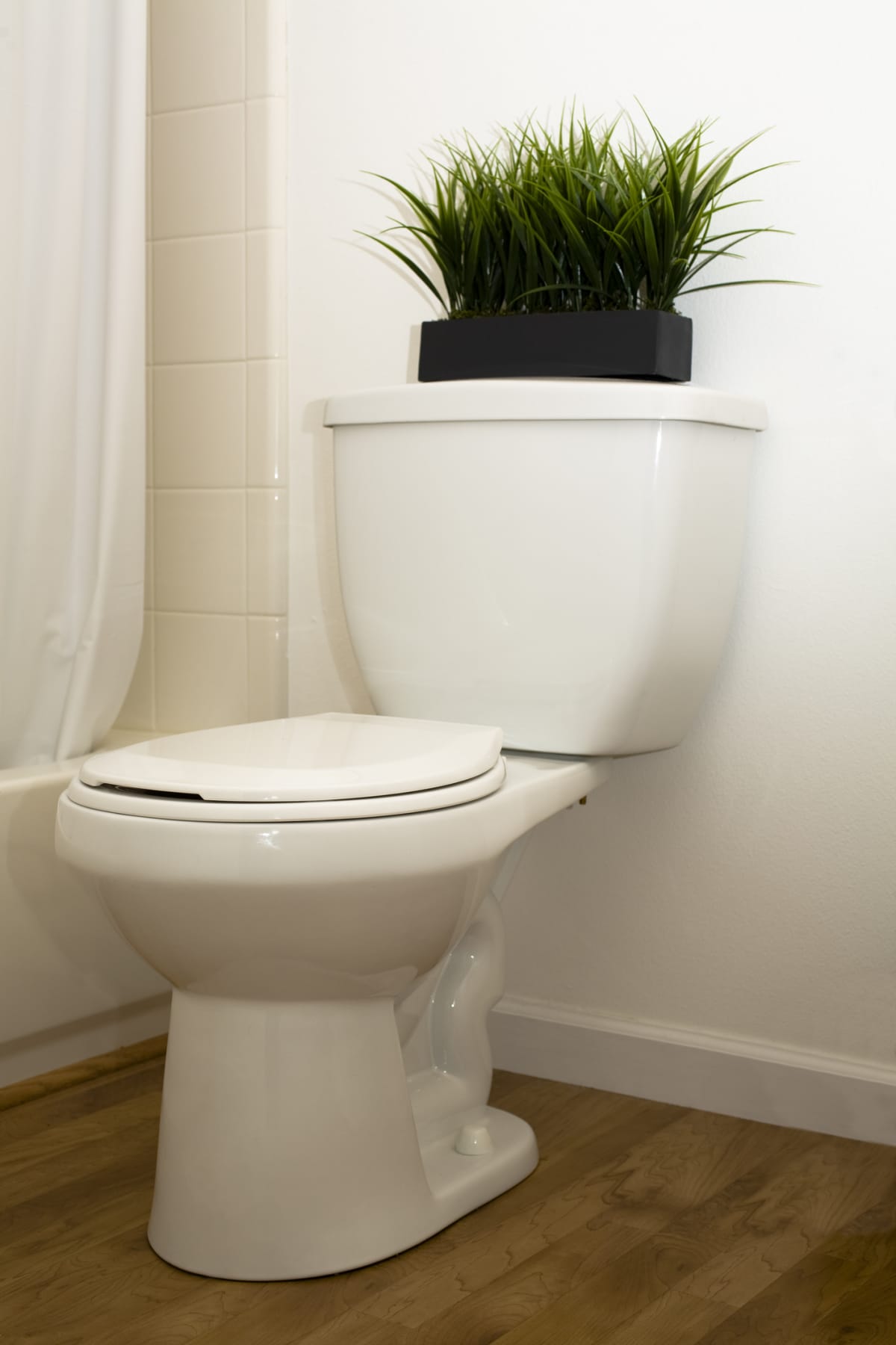 Toilet with a plant on the top 