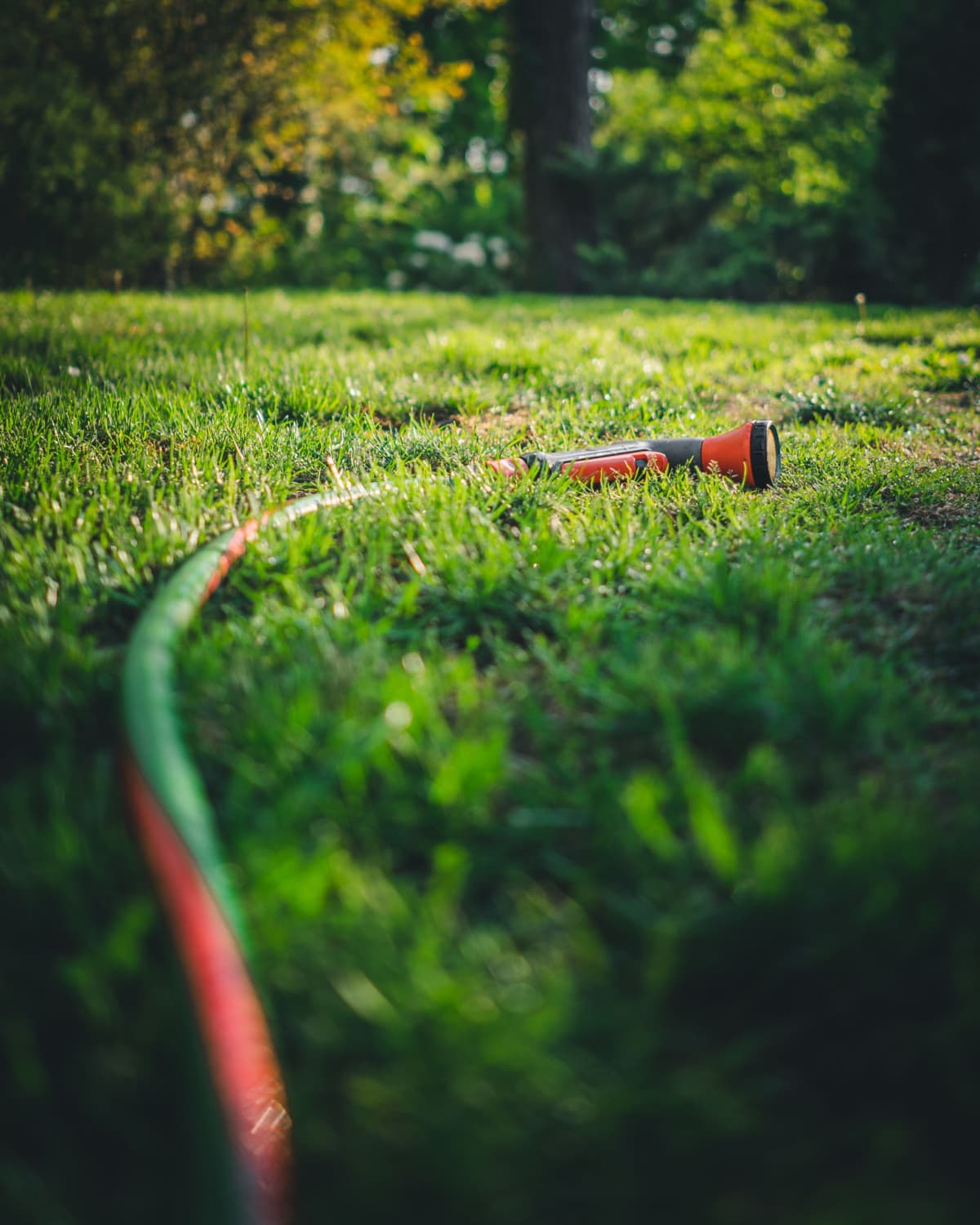 A closeup of a colorful garden hose on the grass