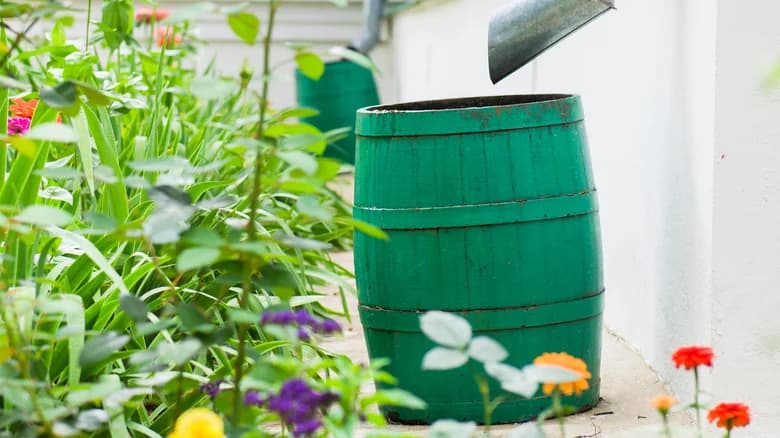 A green rain barrel in a garden