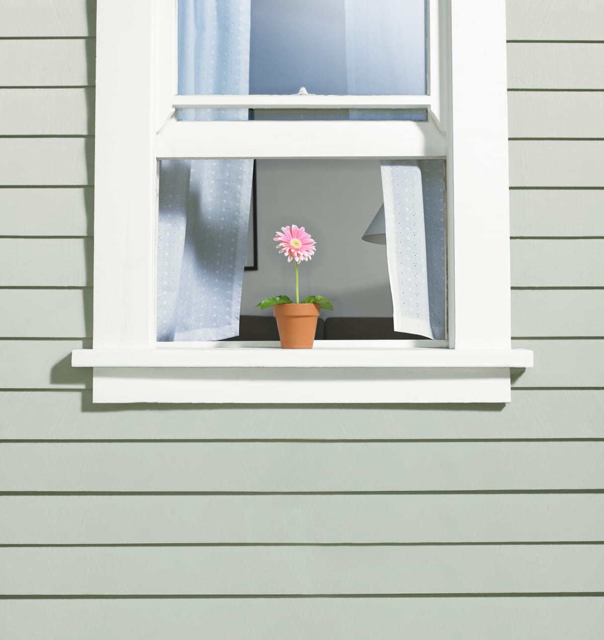 a white window with a flower on the sill