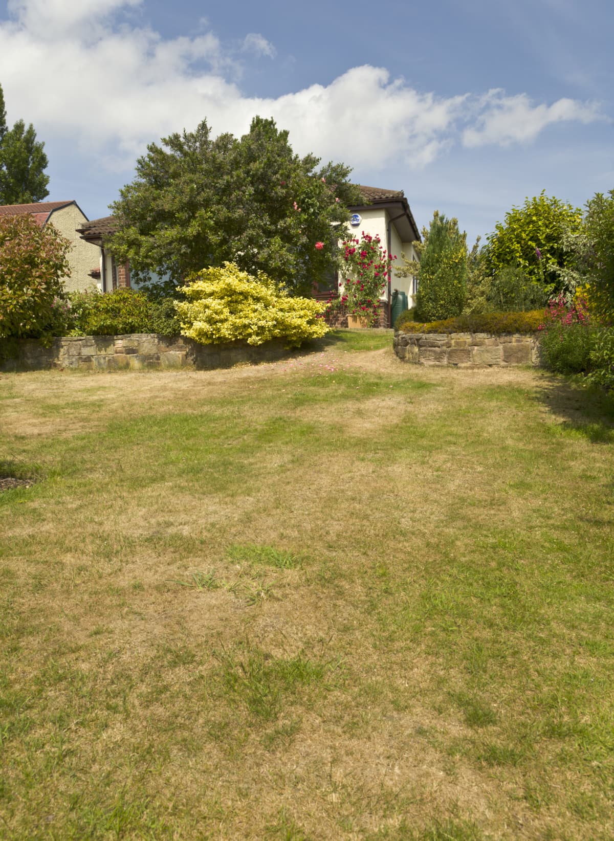 A dry lawn in front of a house