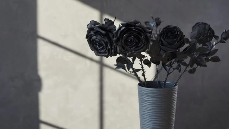 Black roses in a vase on a grey and white background