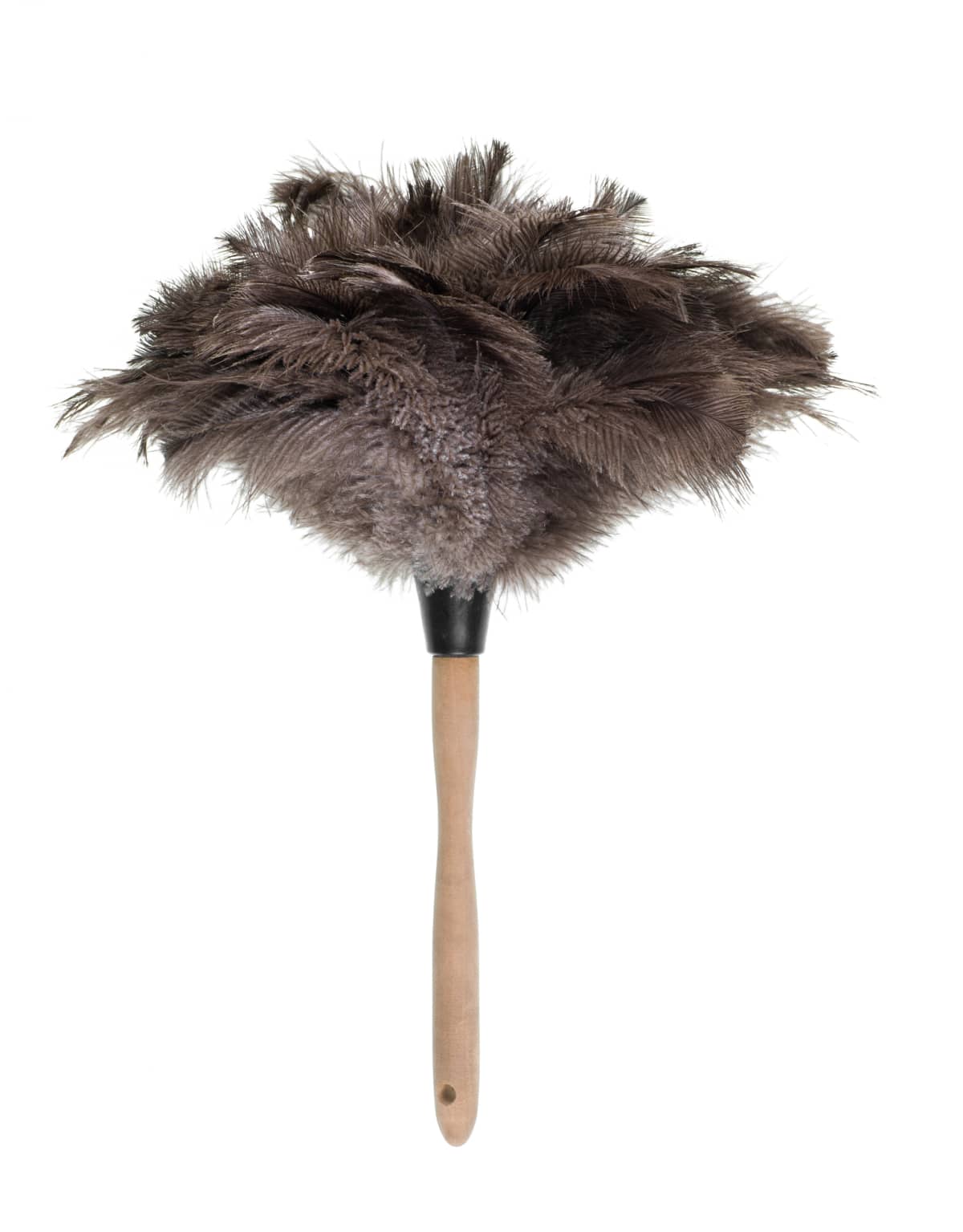 dust cleaner with feathers on white background