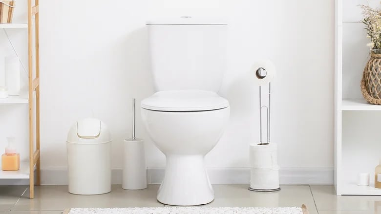 A toilet bowl, garbage can, toilet tissue holder, and toilet brush holder