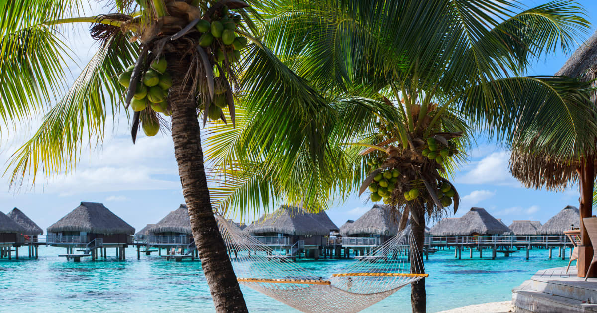 A Moment in Mo'orea, Tahiti