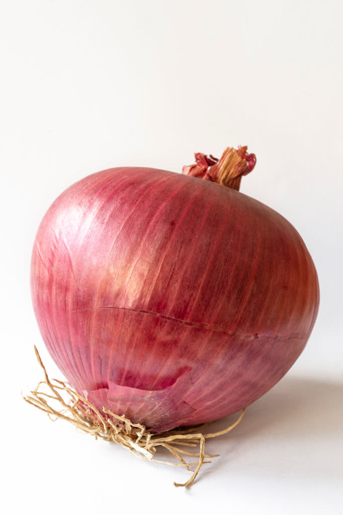 Mega onion la alternative for tor browser mega