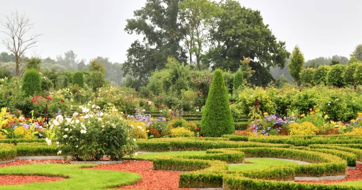 How Much Does It Cost To Build A Garden From Scratch