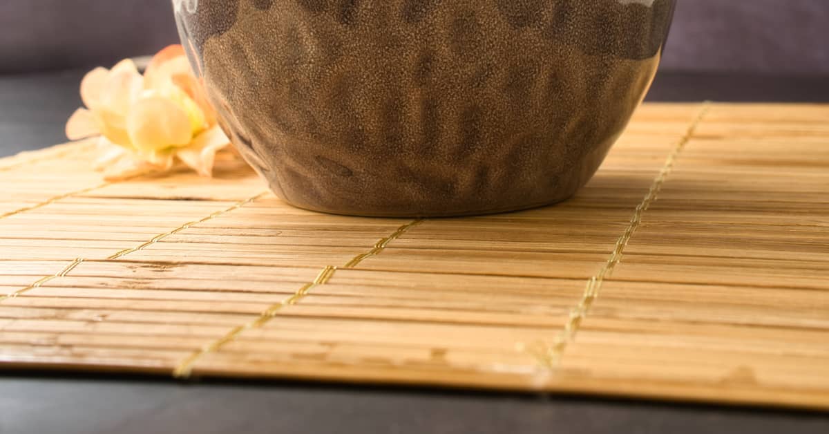 Shirataki The Japanese Noodles You Should Know About