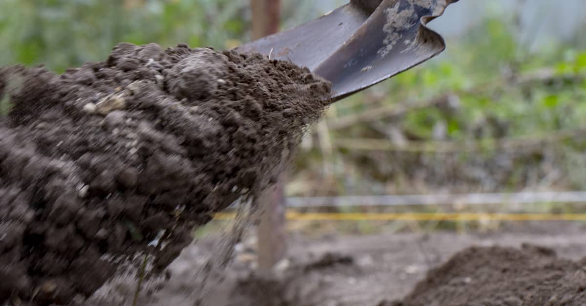 The Best Method For Sharpening Your Dull Shovel