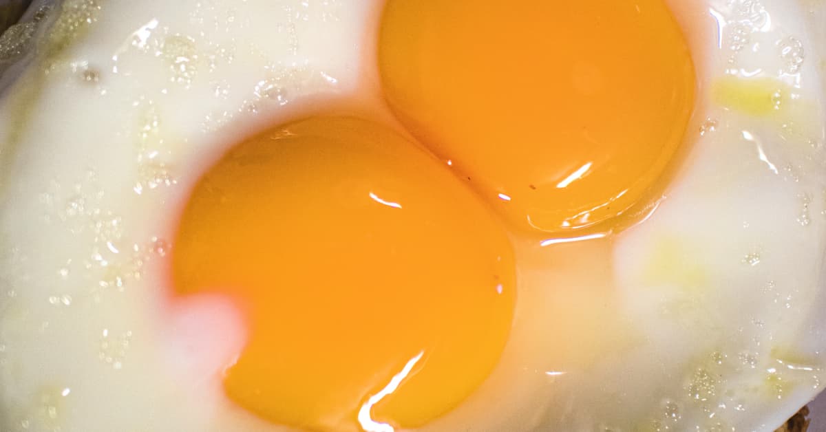 Can You Purposefully Buy Double Yolk Eggs can-you-purposefully-buy-double-yolk-eggs