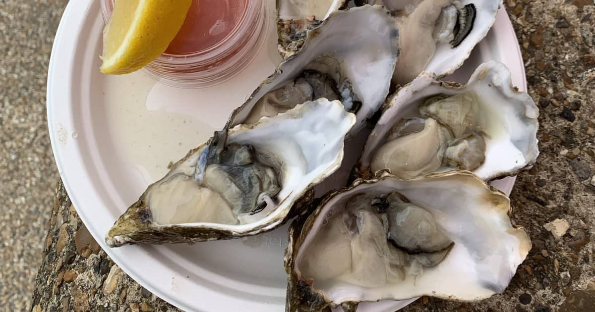Why It's Better To Smoke Oysters Off The Shell