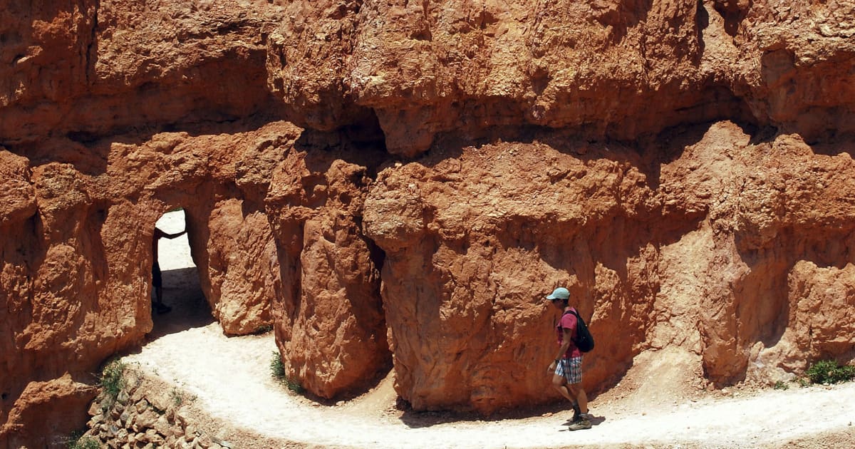 Best Hiking Destinations in USA: National Parks & Scenic Trails
