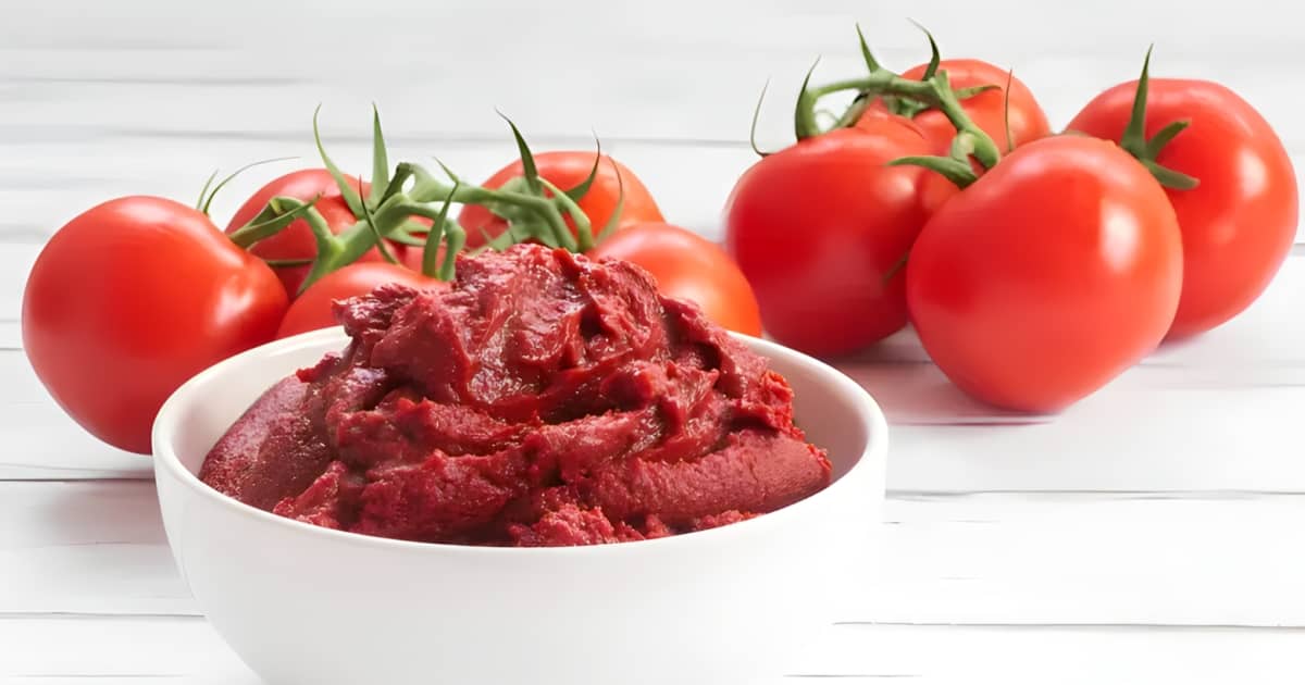 The Best Substitute For Tomato Paste When You Need It Quick the-best-substitute-for-tomato-paste-when-you-need-it-quick