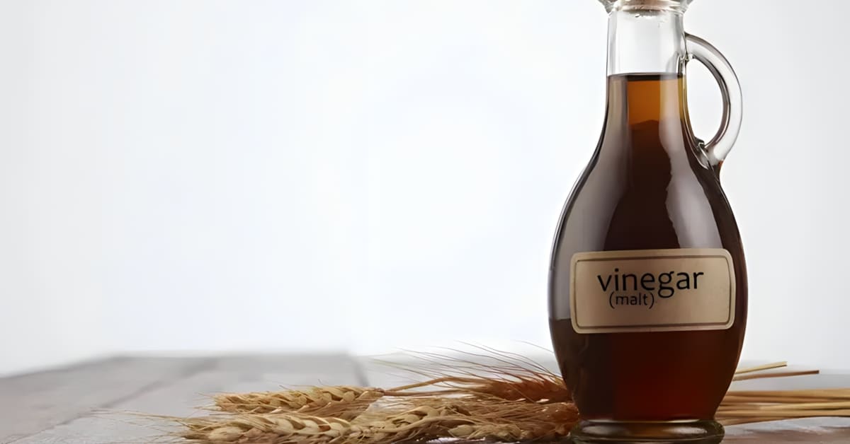What Is Malt Vinegar what-is-malt-vinegar