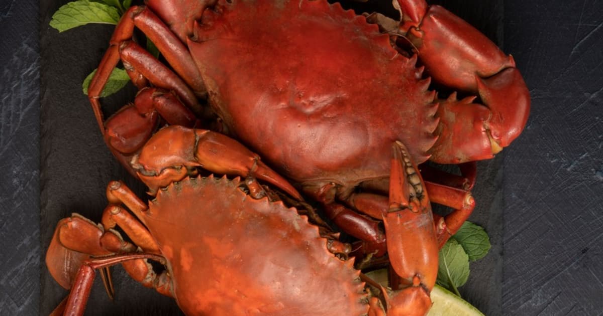 The Difference Between White And Brown Crab Meat